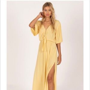 Amuse Society Dress